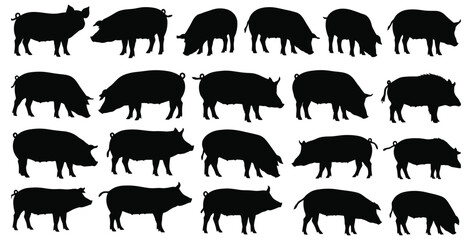 Collection of detailed black silhouette illustrations depicting various domestic pigs and wild boars in different poses and common actions against a clean white background © Mst Zakia