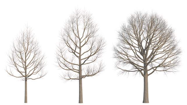 Three bare trees in a row isolated on transparent background - Powered by Adobe