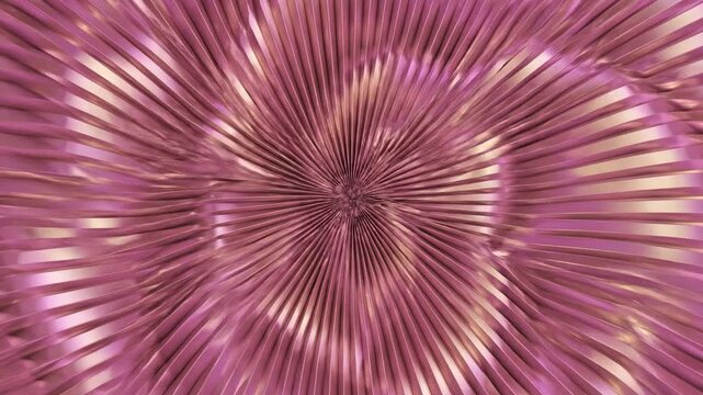Abstract motion graphic background featuring pink pleated geometric folds seamlessly looping and expanding in dynamic wave patterns looping, clean, stylish