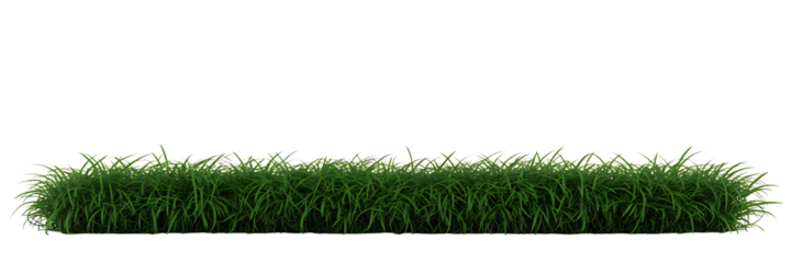 Lush green grass landscape isolated on transparent background