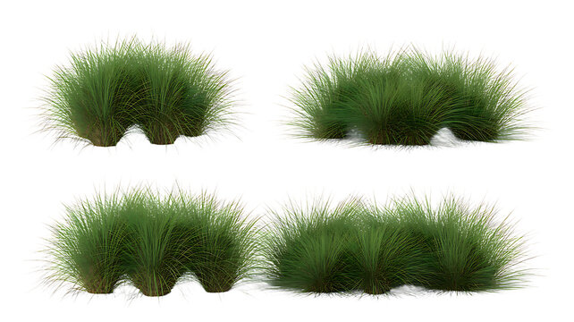 Collection of lush green grass clumps isolated on transparent background