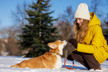 Smiling Woman Rewarding Corgi with Treat During Winter Training Walk in Snowy Park