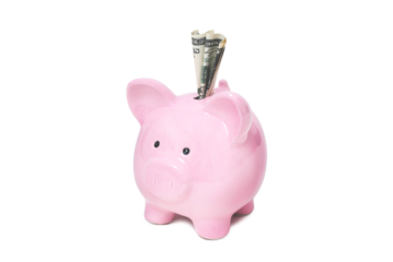 Piggy bank with dollar on white background