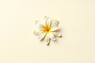 Single Flower on Pale Background