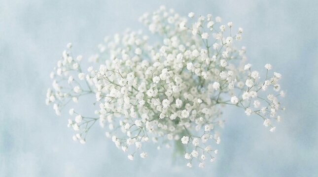 Delicate White Baby's Breath Flowers Bouquet on Soft Light Blue Background, Ethereal Floral Macro
