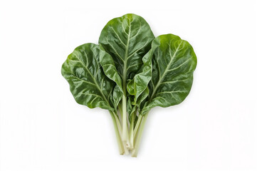 Fresh Swiss Chard Leaves on White Background
