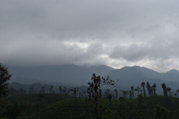 fog in the mountains
