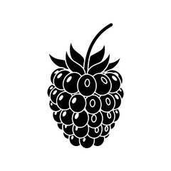 Illustration of a blackberry isolated on transparent background, Vector