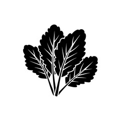 Black and white leaf illustration isolated on transparent background, Vector