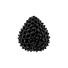 Intricate black lace design isolated on transparent background, Vector