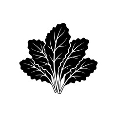 Black and white leaf illustration isolated on transparent background, Vector