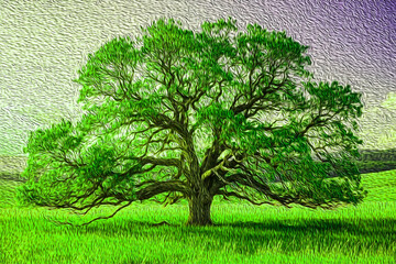 green tree on white background