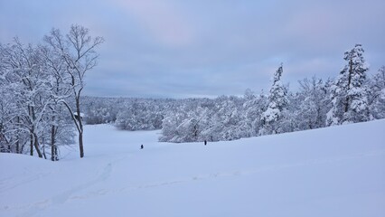 ski resort in winter 
