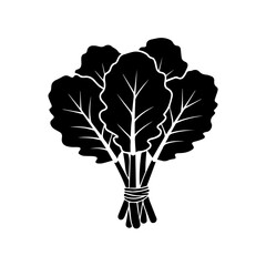 Illustrated bunch of broccoli isolated on transparent background, Vector