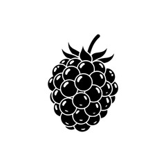 Single blackberry on white background isolated on transparent background, Vector