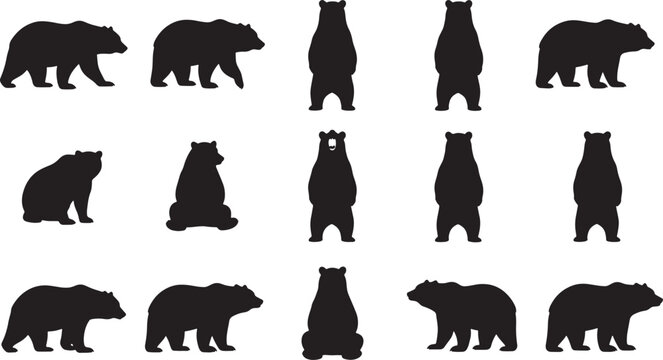 Set of black bear silhouettes for wildlife design, grizzly and brown bear icons in various poses like walking, standing and sitting for nature camping graphics.