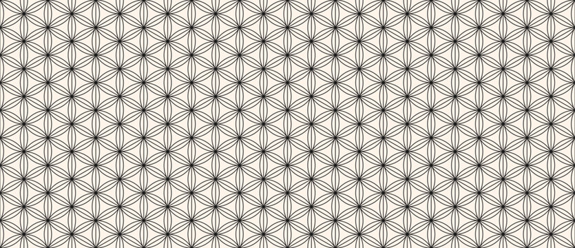 Classic oriental geometric seamless pattern with floral grid, thin lines, hexagons, triangles, flowers, lattice. Abstract minimal linear black and white background. Elegant modern repeatable design