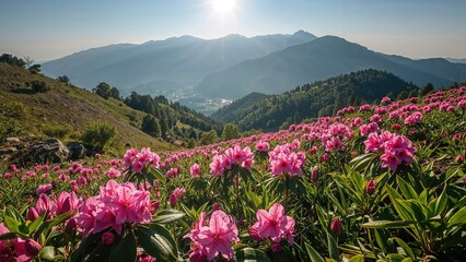 A scenic landscape with pink rhododendron flowers in the foreground, mountains in the background, clear skies, and the sun shining over the peaks.
