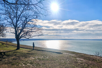 Lake Balaton landscape with bare trees and blue sky in winter sunshine in Hungary