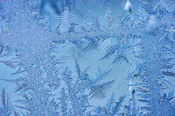 Ice crystals in the detail on a window glass in winter time