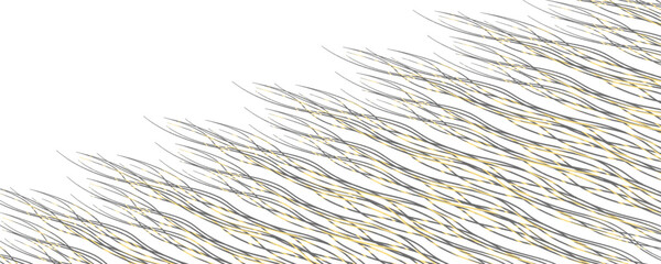 Hand drawn lines. Abstract pattern wave simple seamless, smooth pattern, web design, greeting card, textile, Technology background, Eps 10 vector illustration © Vina