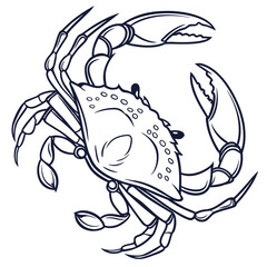 Minimal outline realistic blue crab vector illustration with clean thin strokes and accurate anatomy. Designed for modern logos, icons, packaging, tattoos, and editorial layouts. Simple, elegant.