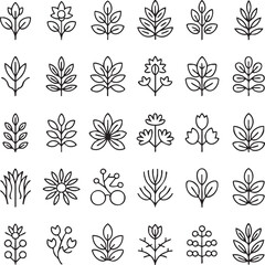 Black and white line of various plants and flowers