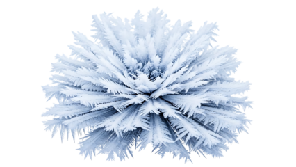 Stunning macro capture of a delicate icy sphere adorned with countless sharp frost crystals, symbolizing winter's intricate beauty and the ephemeral artistry of nature's formations