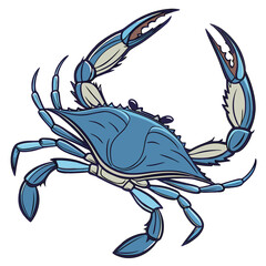 This high-quality, realistic blue crab vector illustration captures the vibrant colors and intricate details of the iconic Callinectes sapidus. Featuring the signature bright blue claws and mottled.