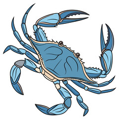 High-quality realistic blue crab vector illustration created specifically for seafood packaging and food branding. Vibrant natural colors and detailed shell texture make this artwork ideal for labels,