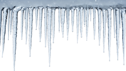 Beautifully formed, crystal-clear icicles hanging delicately against a plain white background, capturing the pristine and cold essence of winter's natural artistry
