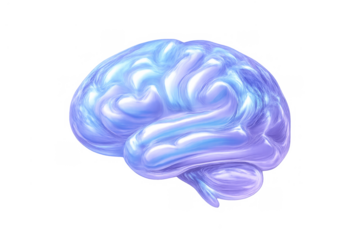 Human brain illustration representing intelligence, thoughts, mind, memory, creativity, neurology, and mental processes