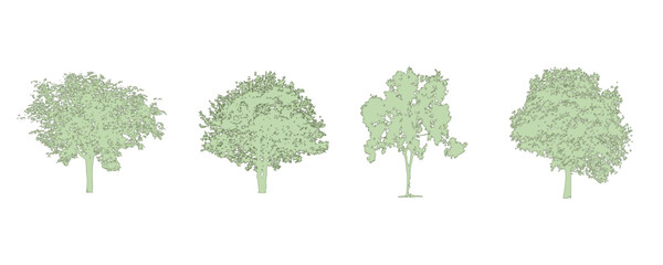 Architectural CAD Tree Symbols Set Top View Isolated on White Background, Landscape Design Vegetation Blocks for AutoCAD Floor Plan, Site Planning and Construction Use © Sudharsan