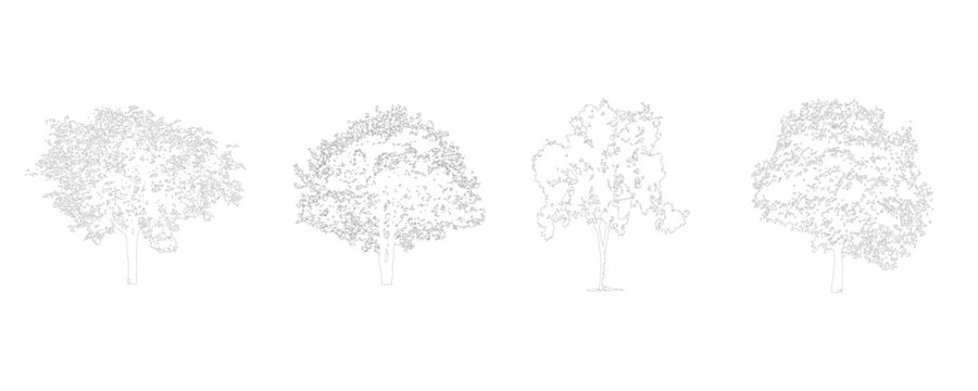 CAD Tree Set Top View Isolated on White Background, Architectural Landscape Tree Symbols for AutoCAD Site Plan, Urban Planning, Garden Layout and Construction Drawings