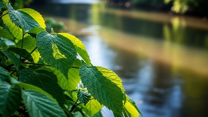 Green leaves by serene water landscape.