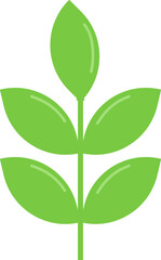 식물-풀-새싹-가지-잎-나뭇잎-잎사귀-식물줄기-풀잎-봄-초록색 잎-허브-금전수