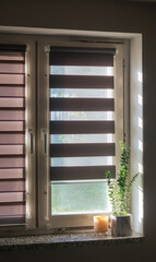 Window with open blinds and a flower pot on the windowsill