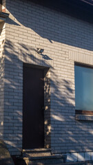 The shadow of a tree falls on a white brick building with a door and a window, view from below