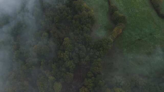 Aerial of hills and forest countryside in the fog