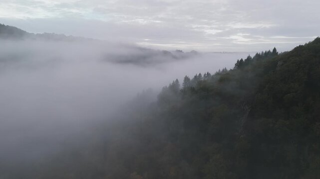 Aerial of hills and forest countryside in the fog