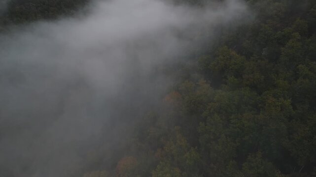 Aerial of hills and forest countryside in the fog