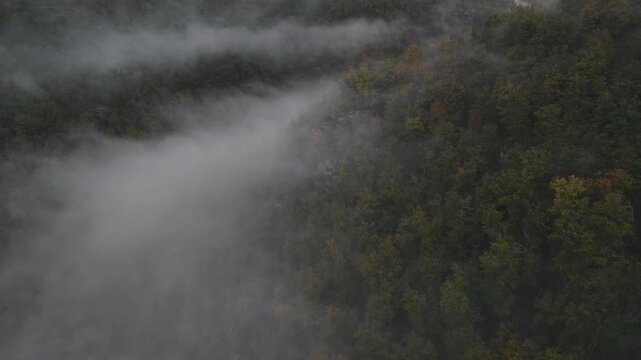 Aerial of hills and forest countryside in the fog