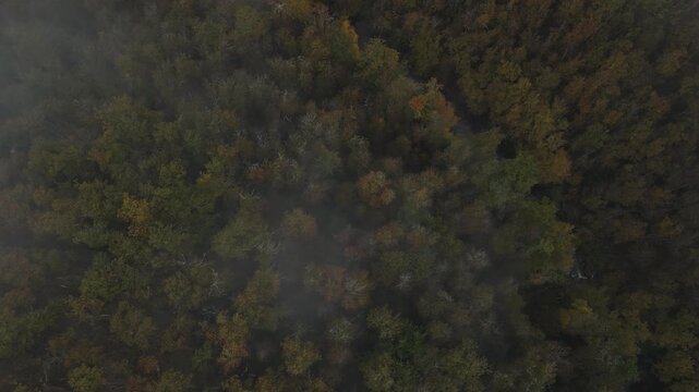 Aerial of hills and forest countryside in the fog