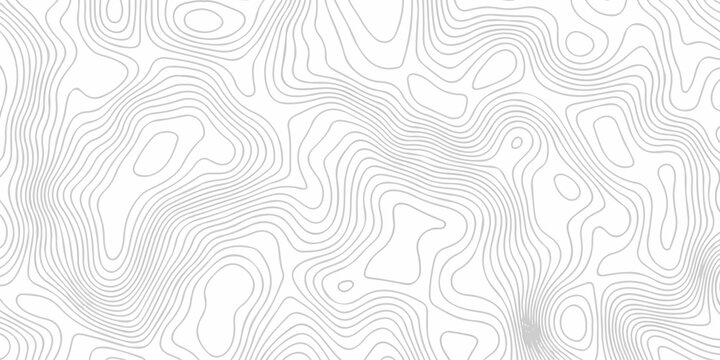 Abstract topography pattern seamless lines sea map modern design white background. Abstract digital topographic contour map concept space geometric strip grid line. Natural discovery of maps.