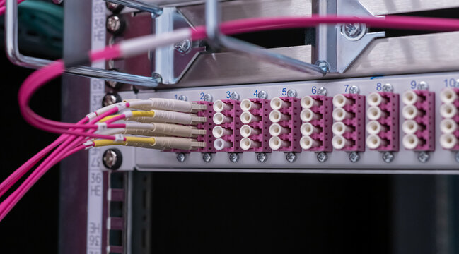 LWL Lichtwellen Netzwerkkabel an einem Switch angebunden