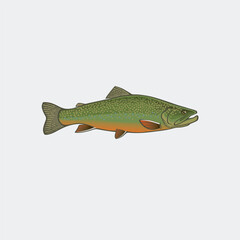 image brook trout logo 