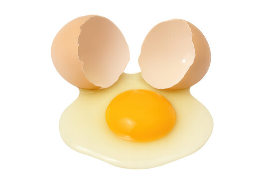 Broken egg with raw yolk and white liquid