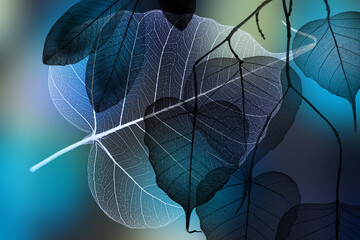 leaf texture, leaf background with veins and cells