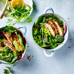 Mixed greens and chicken salad with chili flakes and fresh herbs. Copy space