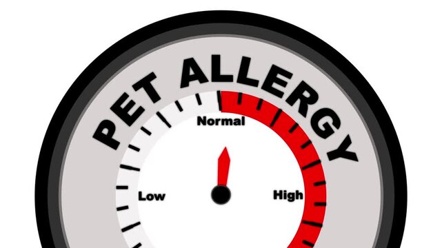 Pet Allergy text or word shown with a barometer or tachometer-style gauge, representing varying levels of allergic reaction severity and sensitivity to pet allergens